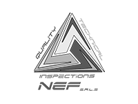 Webdesigner - Nefqti.com